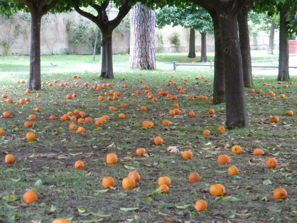 Giardino Degli Aranci