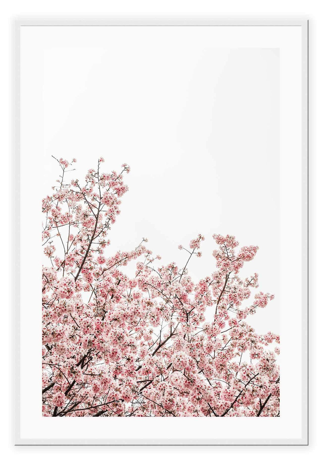 Canvas Prints Central Park Central Park Wall Art : Ready to hang framed artwork. Brand